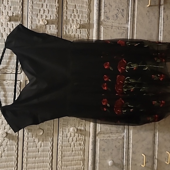 Roiii womens dress NWT - Picture 5 of 5